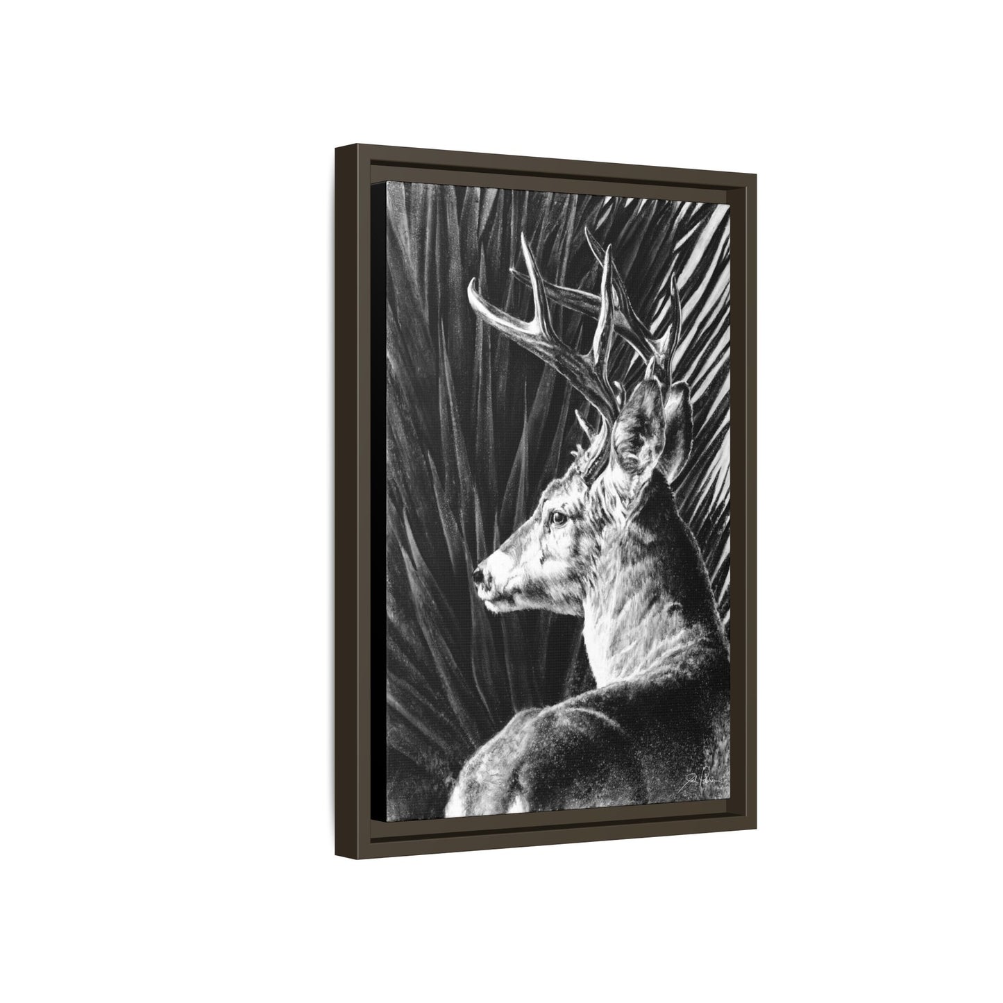 "Coues Buck" Framed Canvas