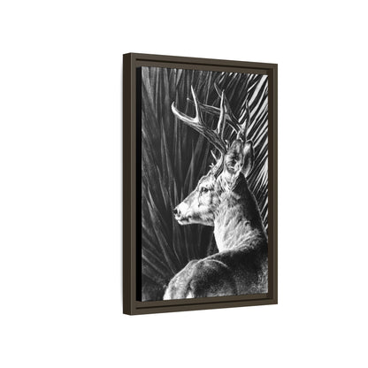 "Coues Buck" Framed Canvas