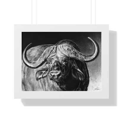 "Cape Buffalo" Framed Paper Print