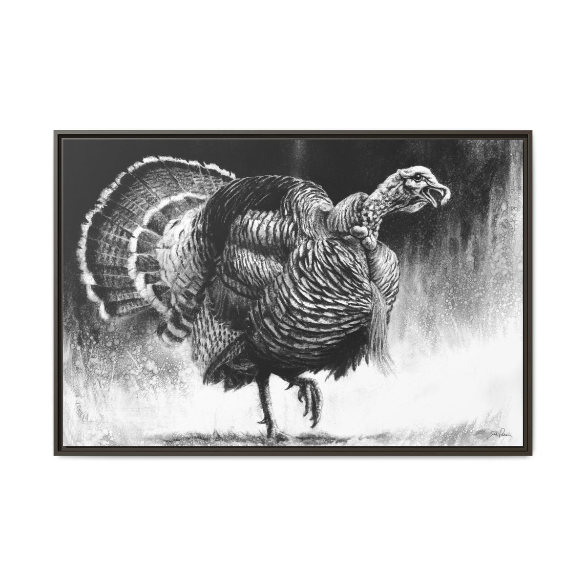 "Gobbler" Framed Canvas