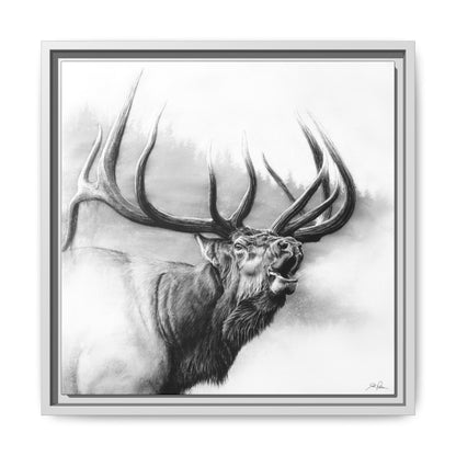 "Rocky Mountain King" Framed Canvas