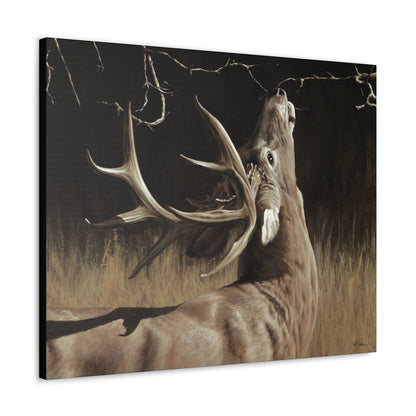 "Calling Card" Gallery Wrapped Canvas