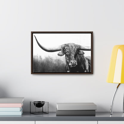 "Longhorn" Gallery Wrapped/Framed Canvas