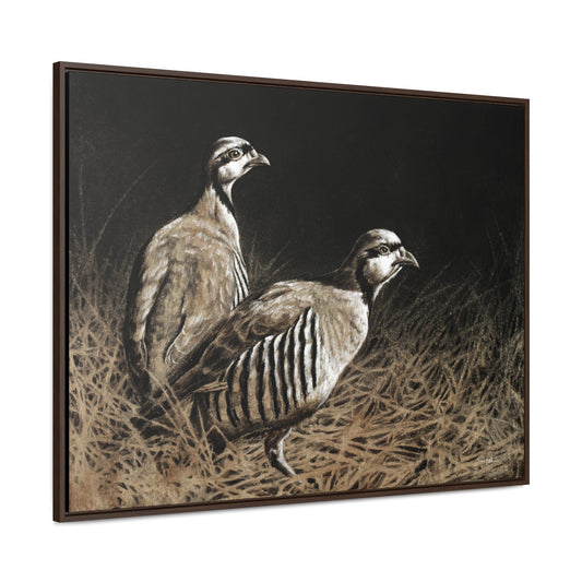 "Chukars" Gallery Wrapped/Framed Canvas