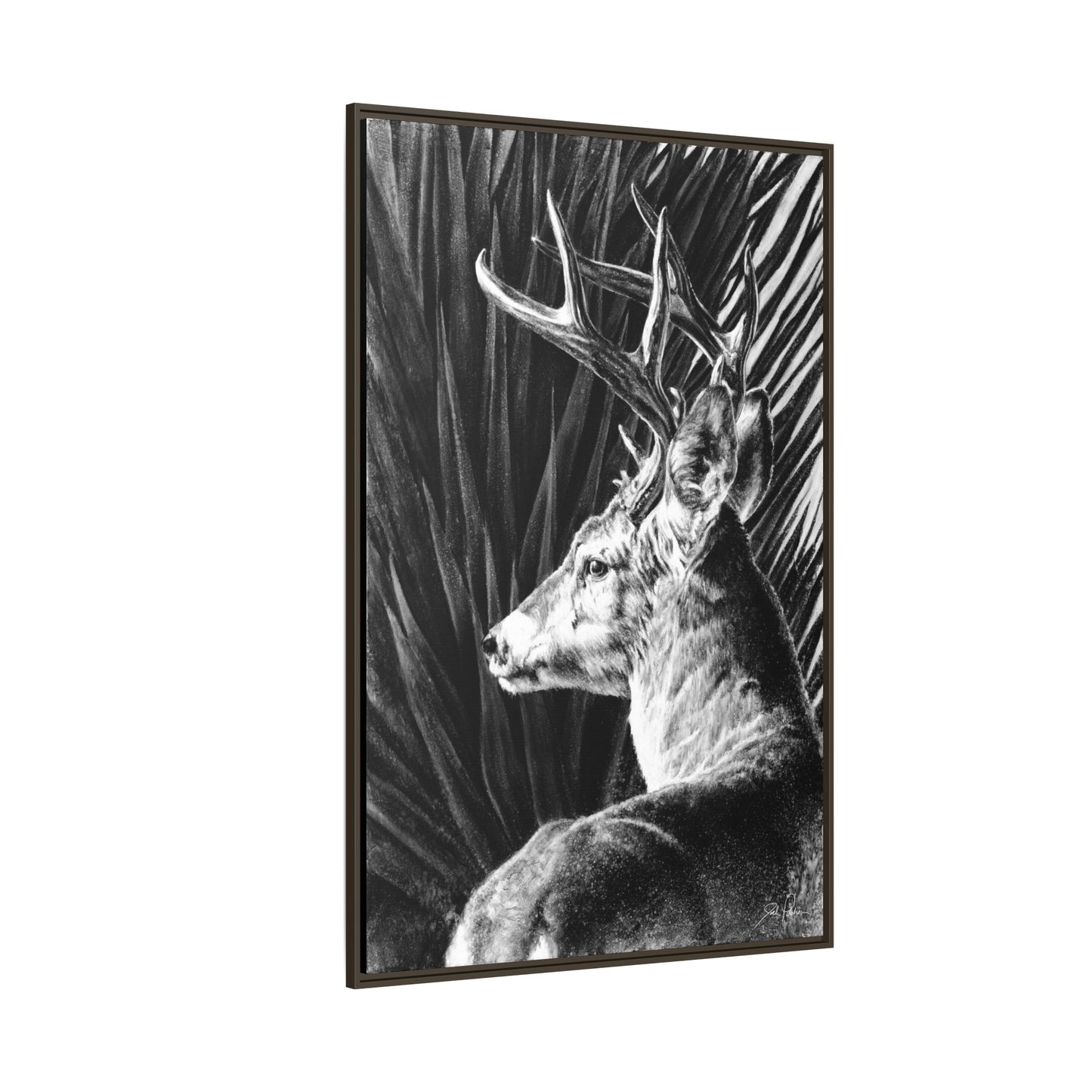 "Coues Buck" Framed Canvas