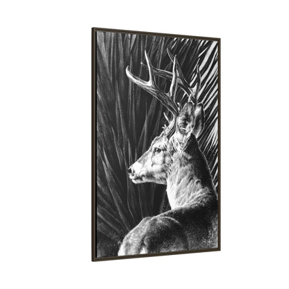"Coues Buck" Framed Canvas