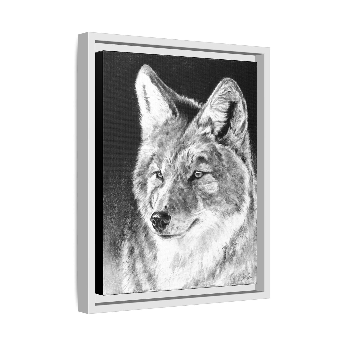 "Coyote II" Framed Canvas
