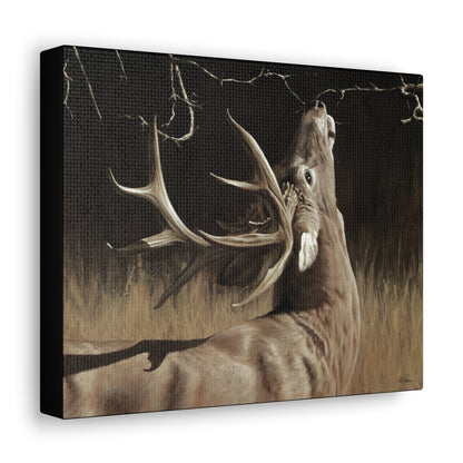 "Calling Card" Gallery Wrapped Canvas