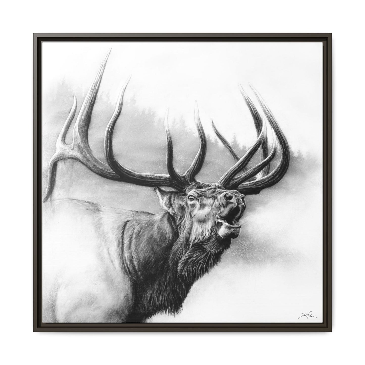 "Rocky Mountain King" Framed Canvas