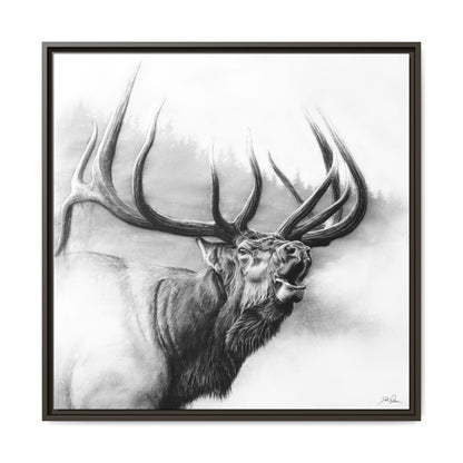 "Rocky Mountain King" Framed Canvas