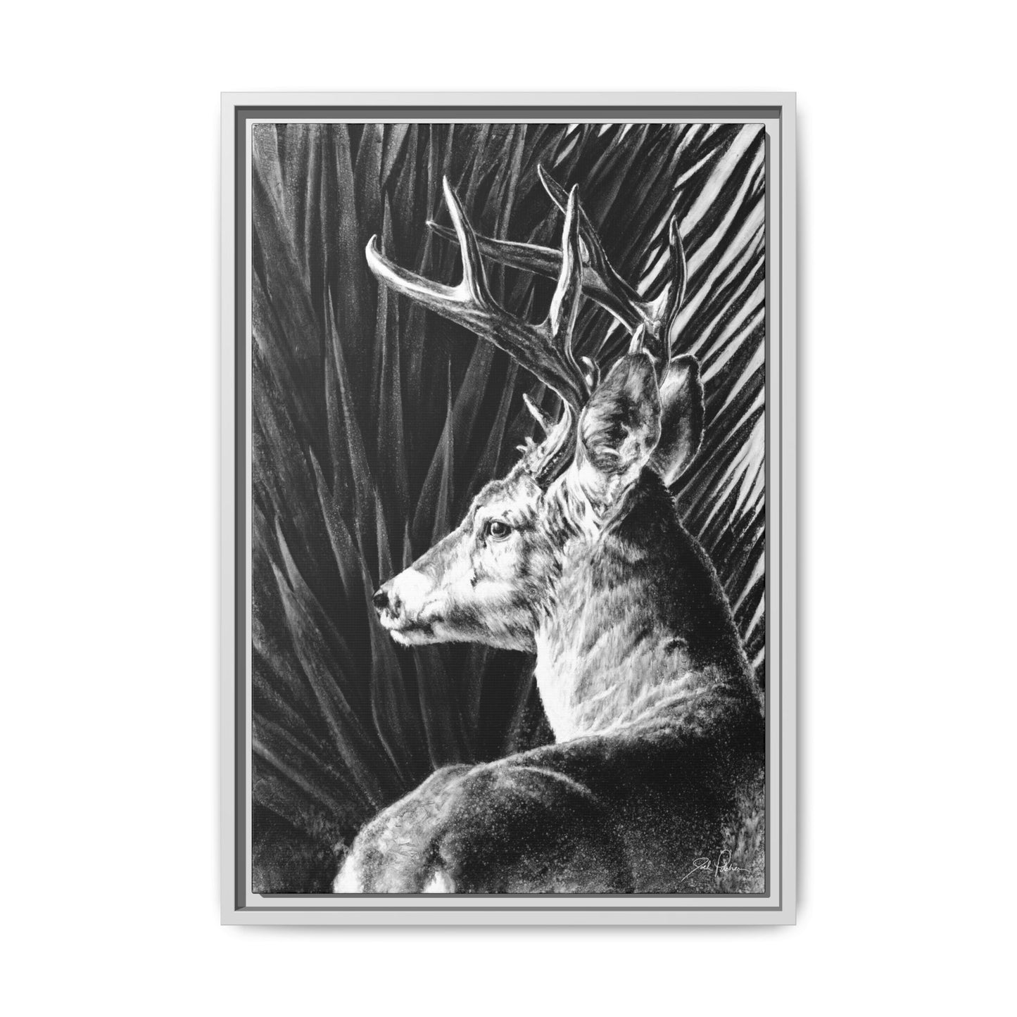 "Coues Buck" Framed Canvas