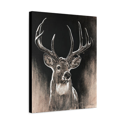 "Backlit Buck" Stretched Canvas