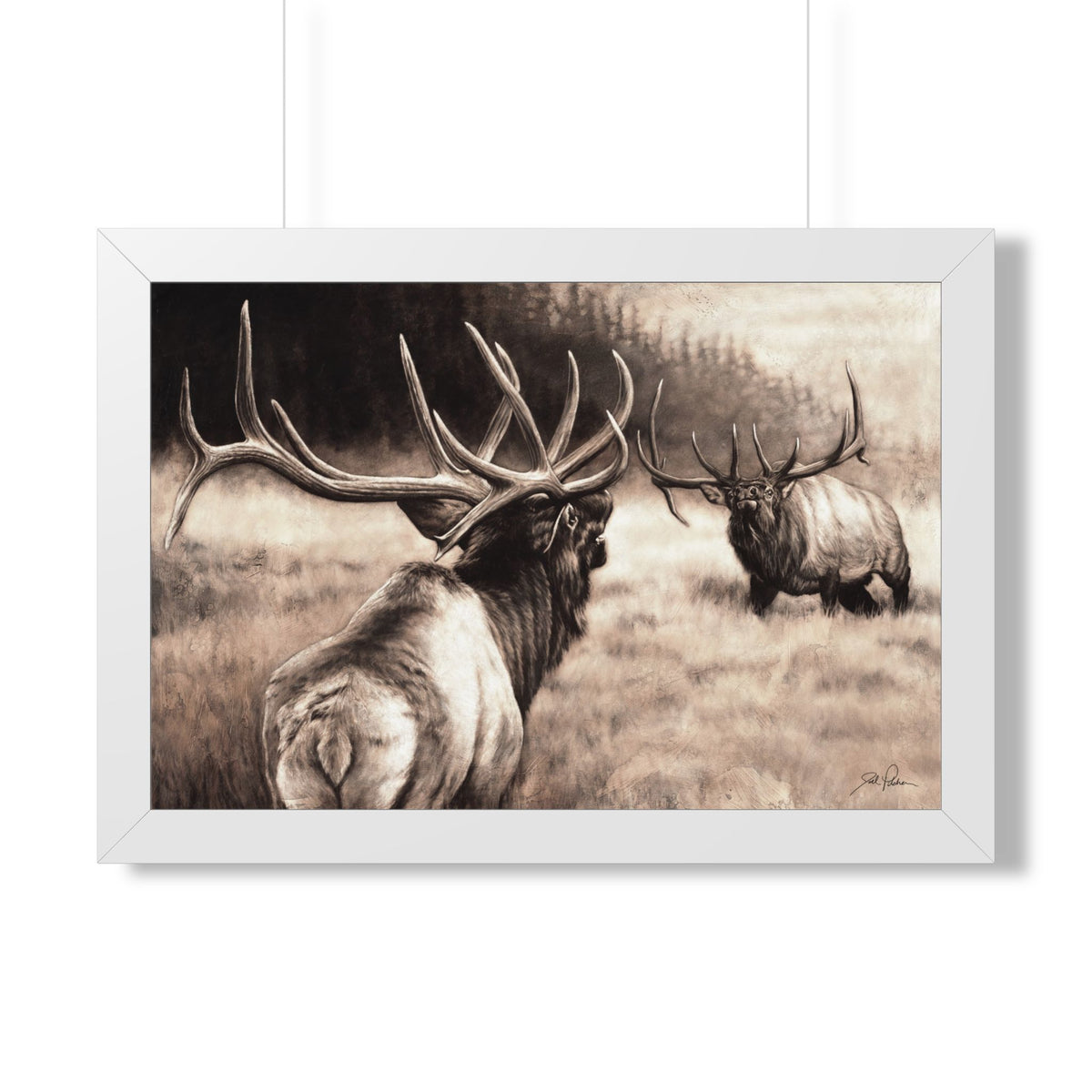 "Ready to Rumble" Framed Paper Print