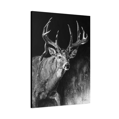 "Jaw Dropper" Stretched Canvas