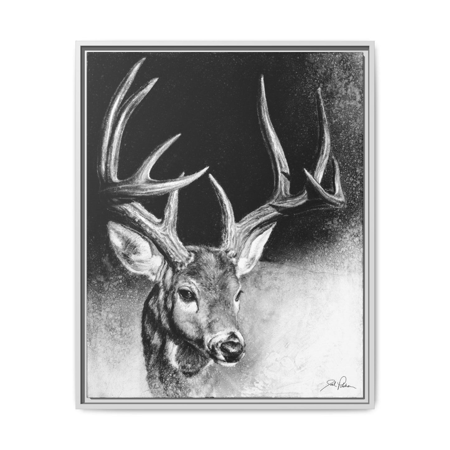 "Whitetail Buck" Framed Canvas