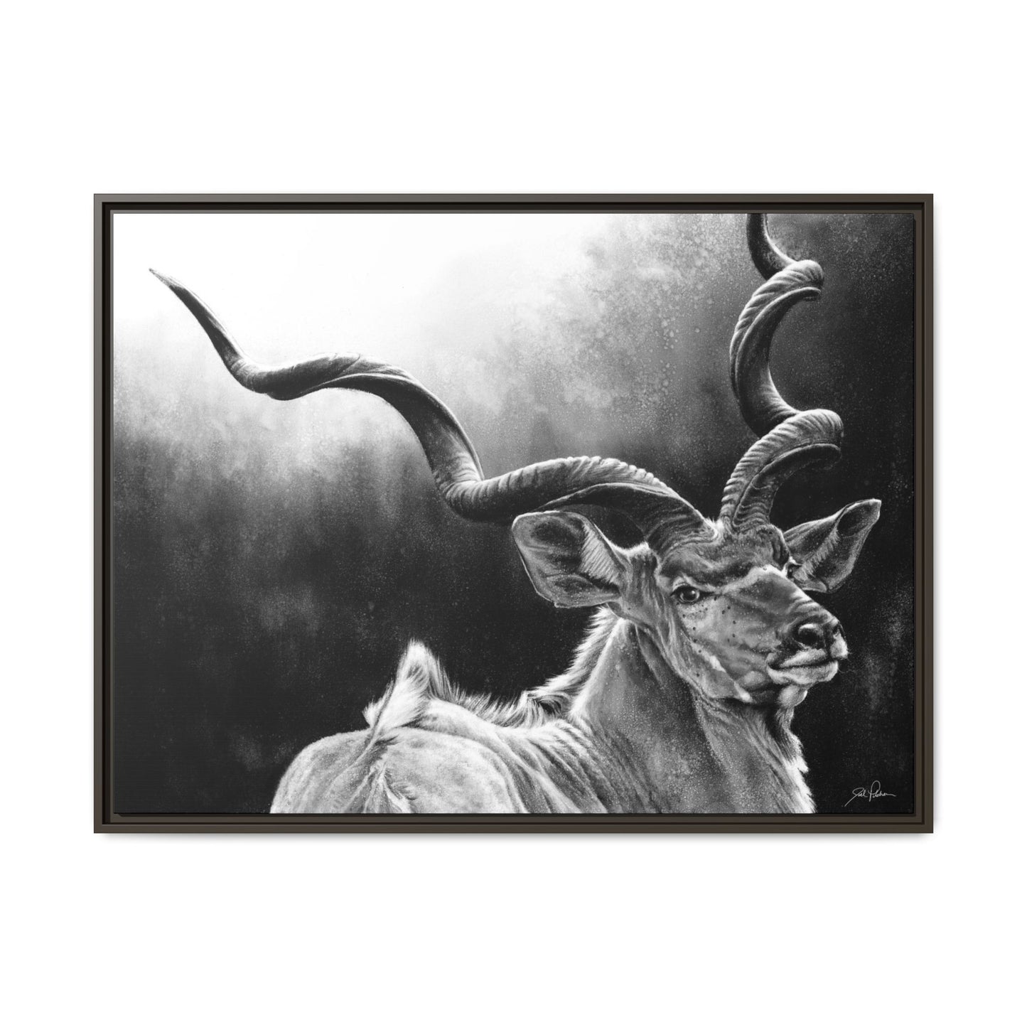 "Kudu" Framed Canvas