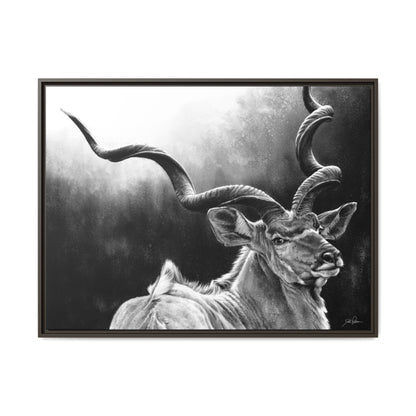 "Kudu" Framed Canvas