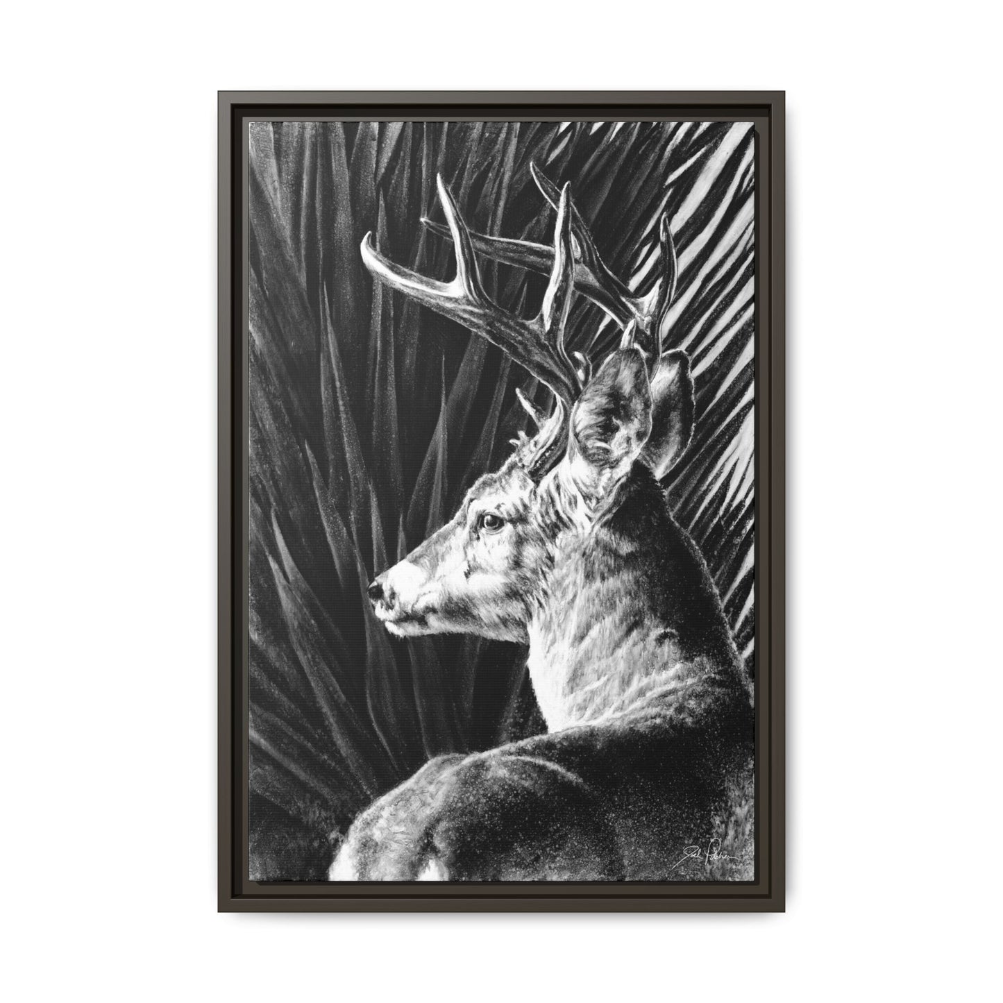 "Coues Buck" Framed Canvas