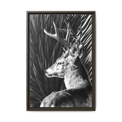 "Coues Buck" Framed Canvas