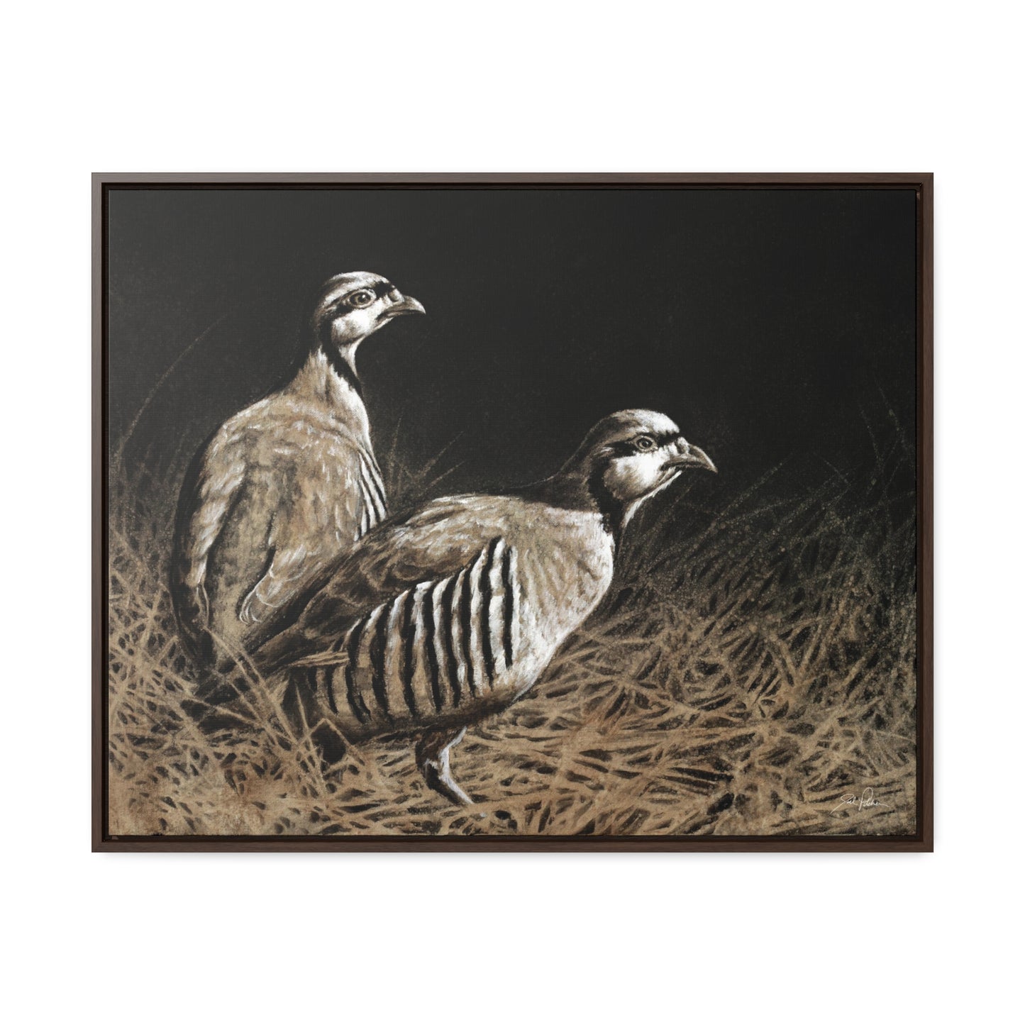 "Chukars" Gallery Wrapped/Framed Canvas