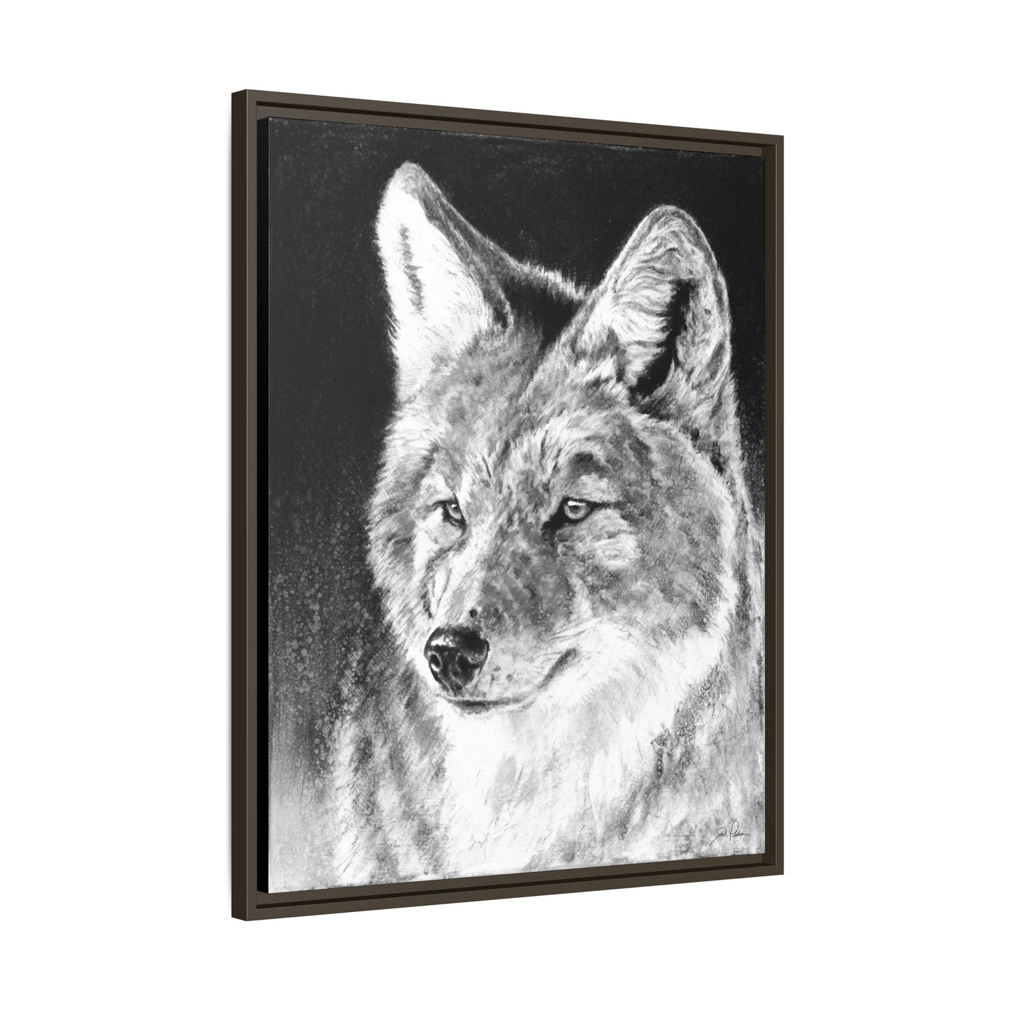 "Coyote II" Framed Canvas