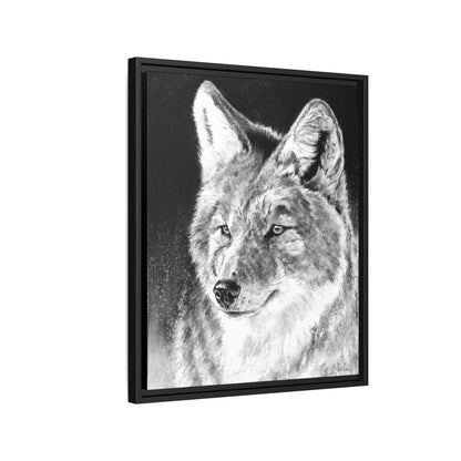 "Coyote II" Framed Canvas