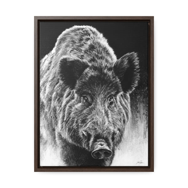 "Wild Boar" Gallery Wrapped/Framed Canvas.