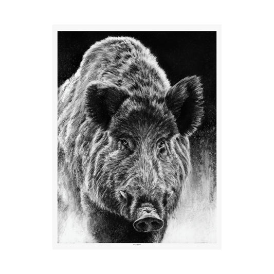 "Wild Boar" Premium Matte Paper Print.