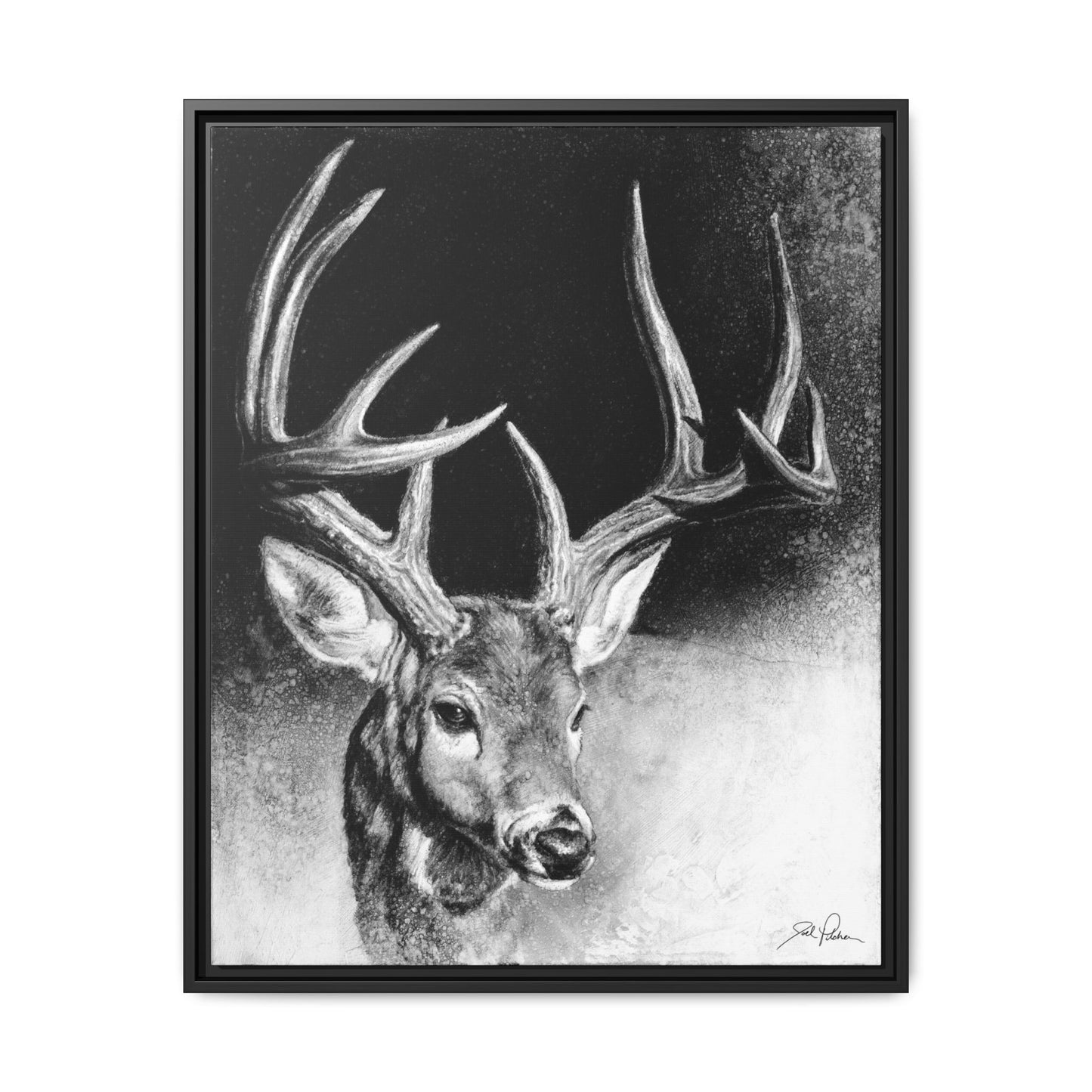 "Whitetail Buck" Framed Canvas