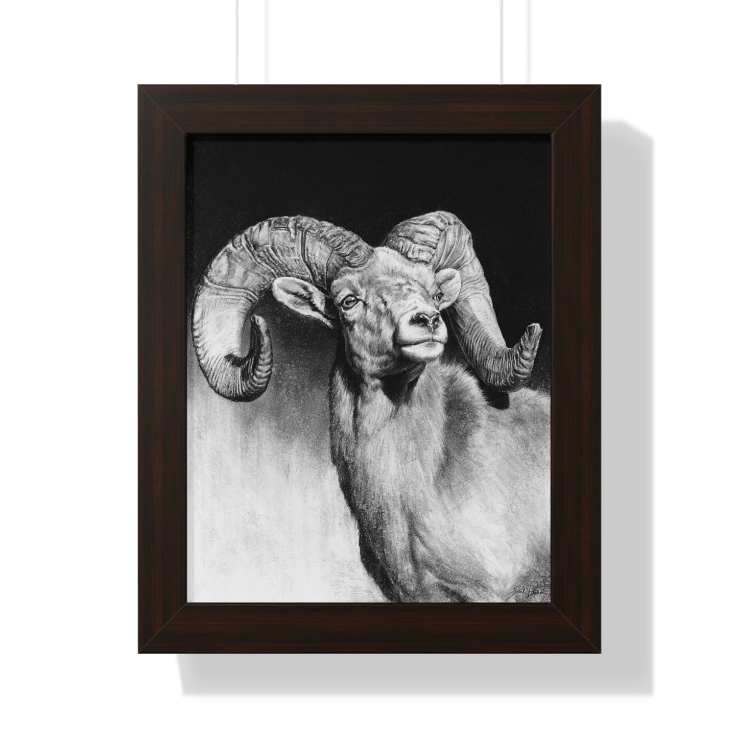 "Bighorn" Framed Paper Print