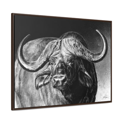 "Cape Buffalo" Gallery Wrapped/Framed Canvas