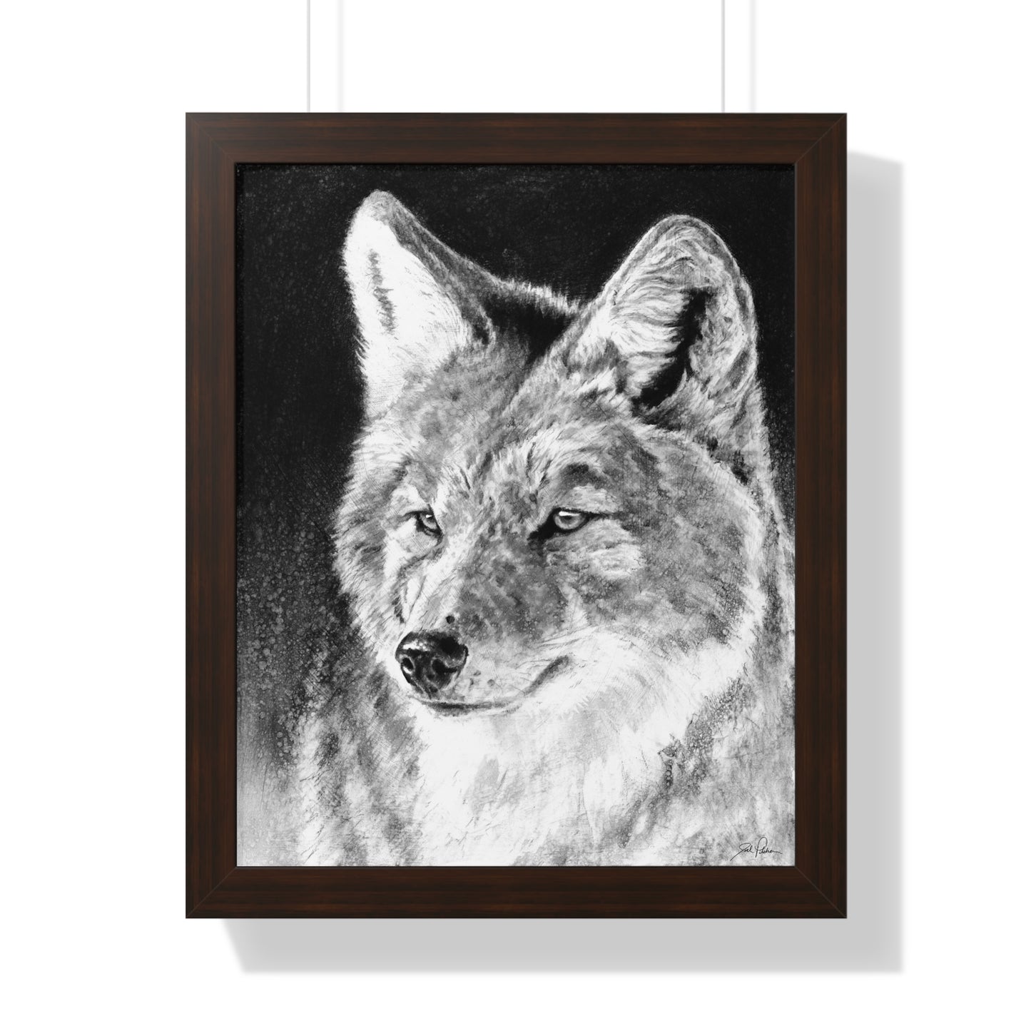 "Coyote II" Framed Paper Print.
