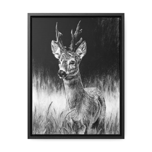 "Roe Deer" Gallery Wrapped/Framed Canvas