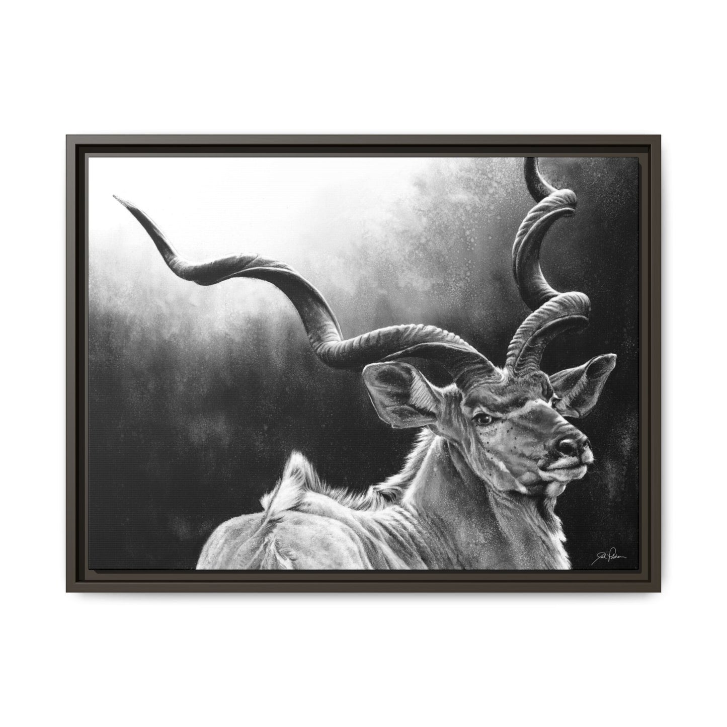 "Kudu" Framed Canvas