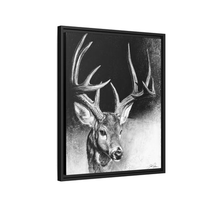 "Whitetail Buck" Framed Canvas