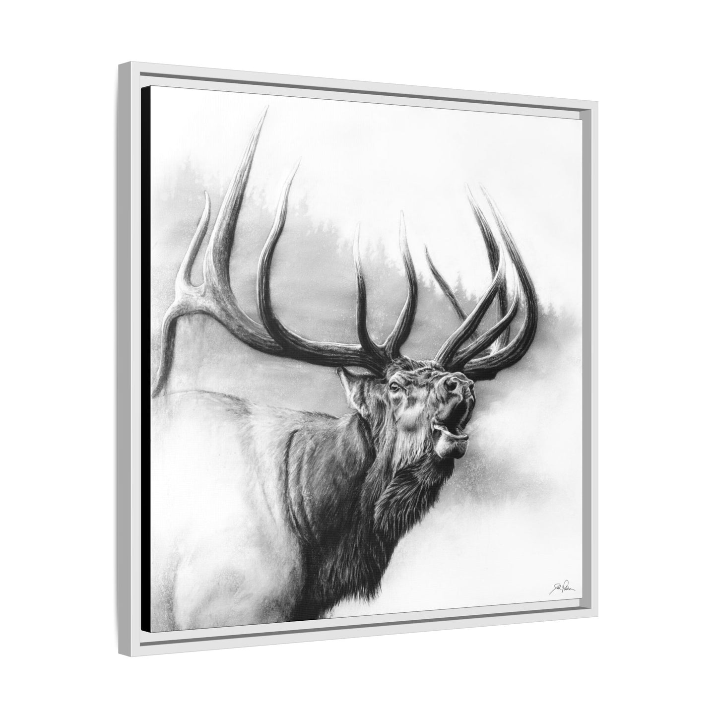 "Rocky Mountain King" Framed Canvas