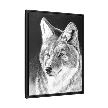 "Coyote II" Framed Canvas