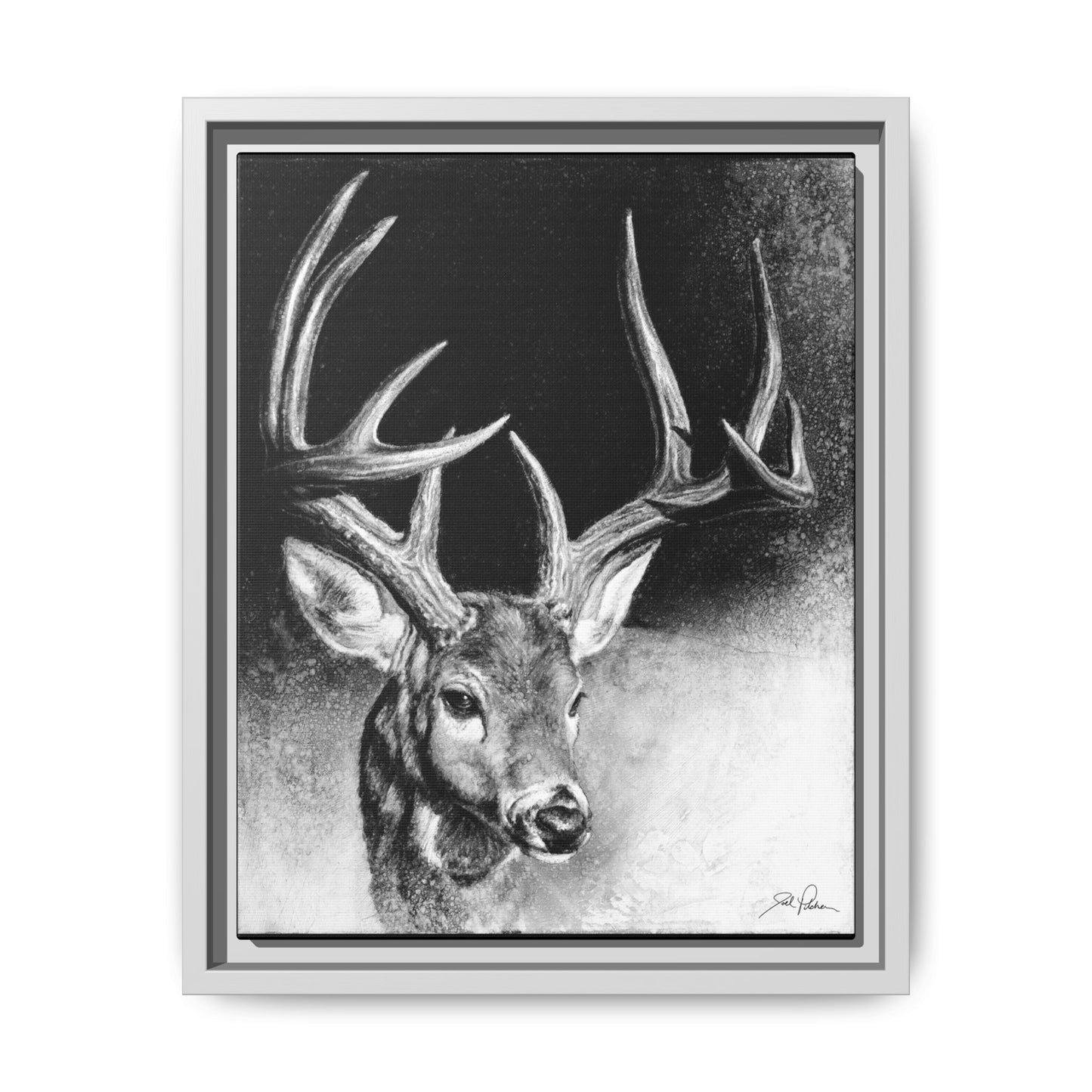 "Whitetail Buck" Framed Canvas