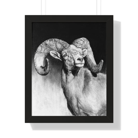 "Bighorn" Framed Paper Print