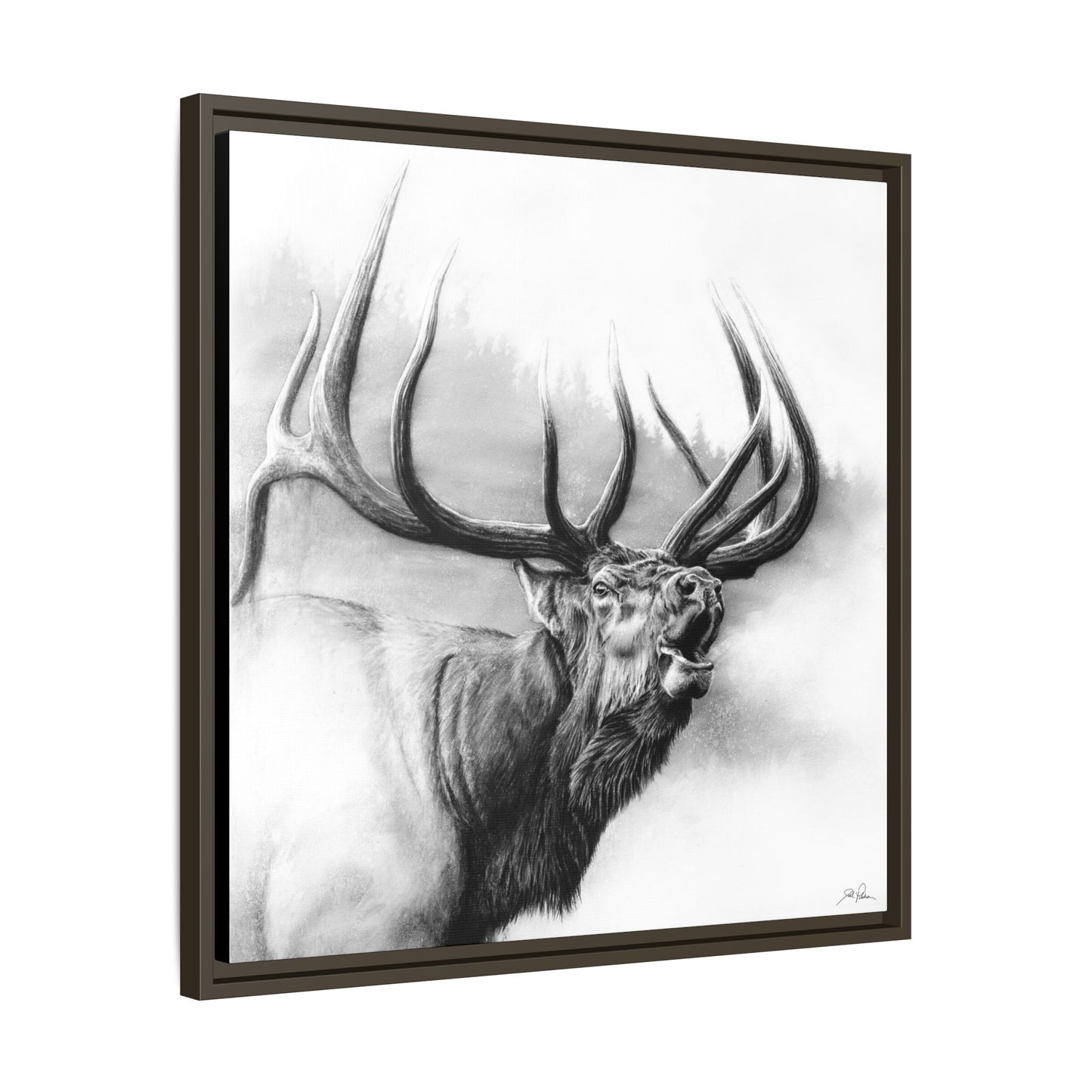 "Rocky Mountain King" Framed Canvas