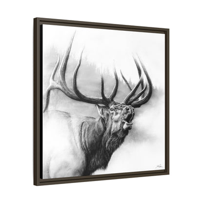 "Rocky Mountain King" Framed Canvas