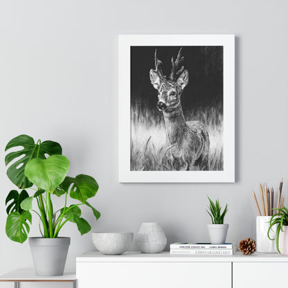 "Roe Deer" Framed Paper Print.