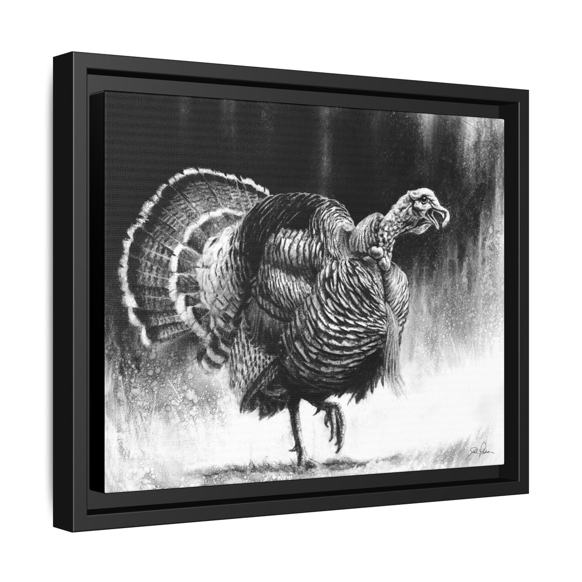 "Gobbler" Framed Canvas