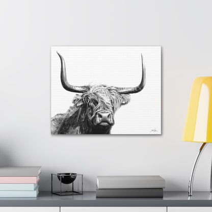 "Highlander" Gallery Wrapped Canvas