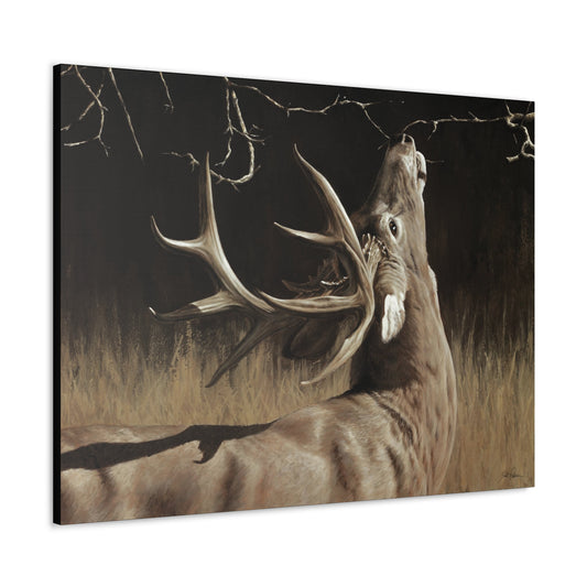 "Calling Card" Gallery Wrapped Canvas