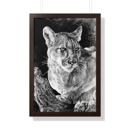 "Mountain Lion" Framed Paper Print