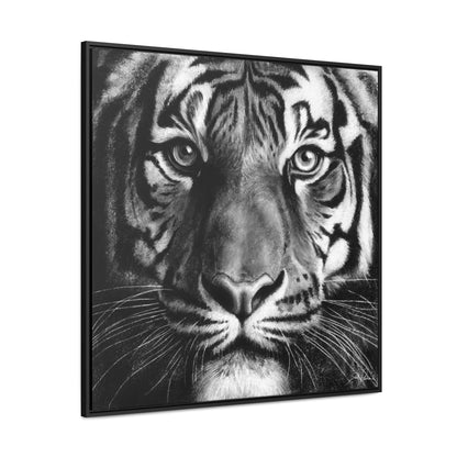 "Tiger" Gallery Wrapped/Framed Canvas