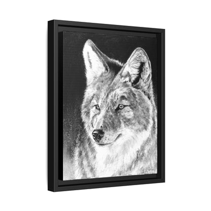 "Coyote II" Framed Canvas