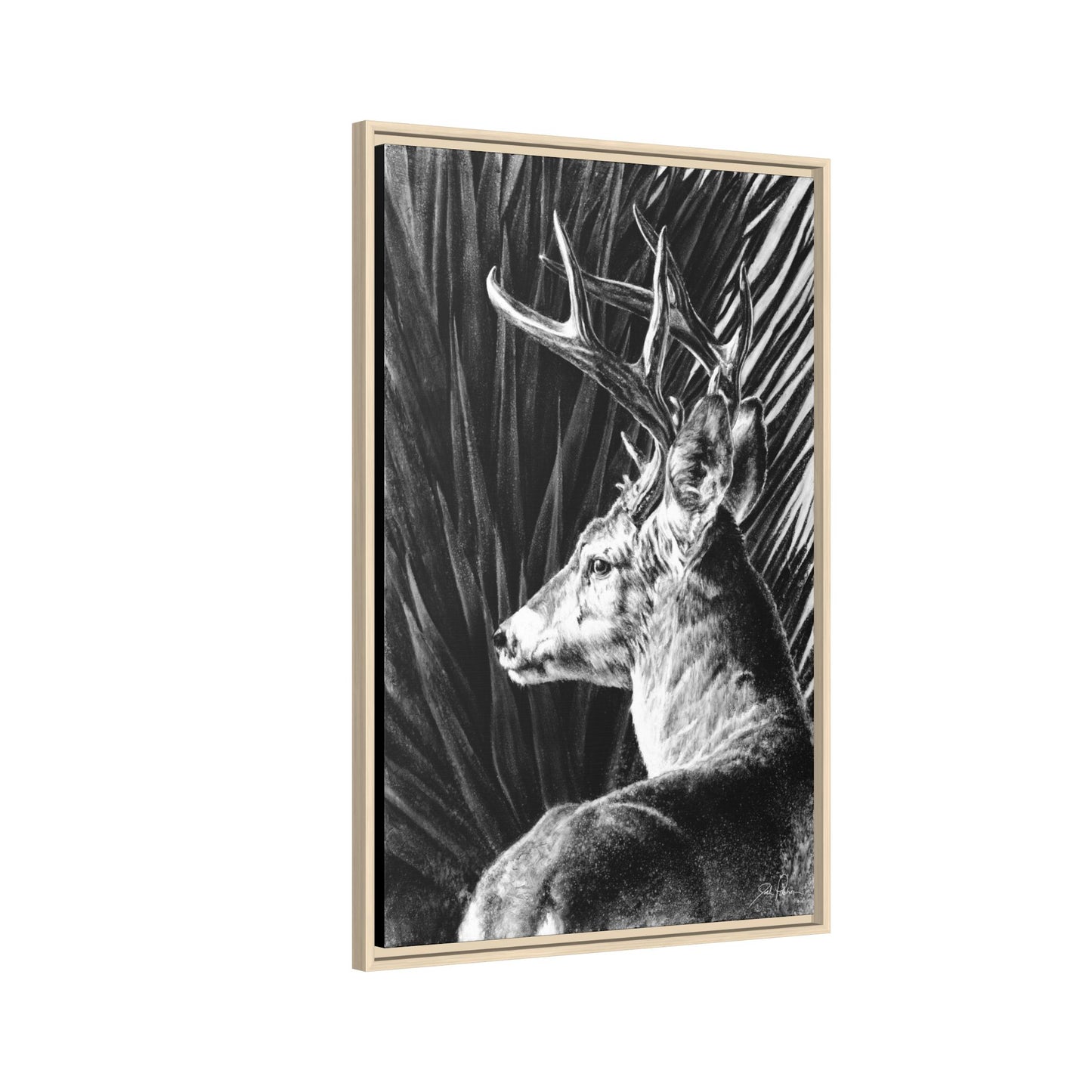 "Coues Buck" Framed Canvas