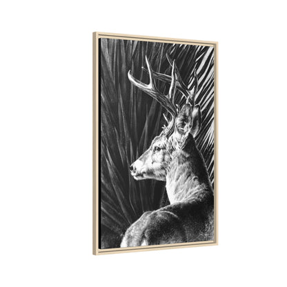 "Coues Buck" Framed Canvas